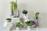 Valley Ceramic Pots By Accent Decor
