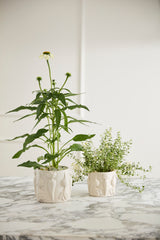 Veggie Speckled Glossy Pots By Accent Decor