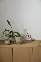 Verde Ceramic Pots By Accent Decor