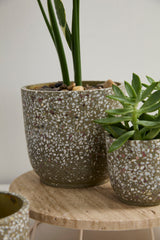 Verde Ceramic Pots By Accent Decor