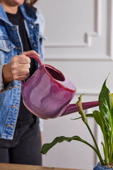 Veronica Watering Can By Accent Decor