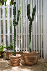 Vesta Ceramic Pot By Accent Decor