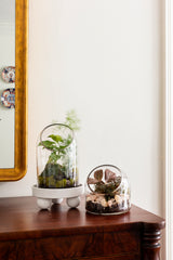 Warner Glass Terrariums By Accent Decor