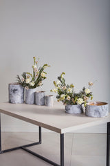 White Birch Cylinder and Wood Bowls By Accent Decor