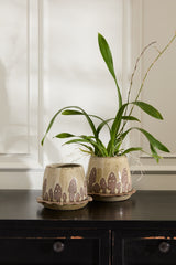 Wild Mushroom with Saucer Ceramic Pots By Accent Decor