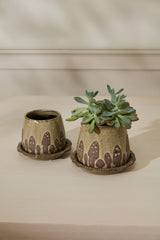 Wild Mushroom with Saucer Ceramic Pots By Accent Decor