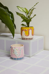 Wild Tails Hand-Painted Ceramic Pots By Accent Decor
