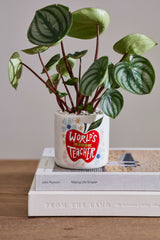 World's Best Teacher Pot By Accent Decor