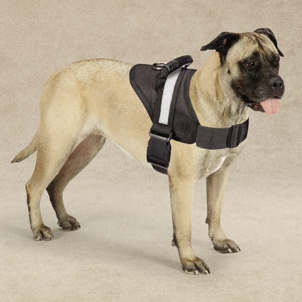 Guardian Gear Guardian Gear Excursion Dog Harness (4 Options Available)