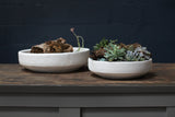 Zane Concrete Bowls By Accent Decor