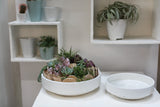 Zane Concrete Bowls By Accent Decor