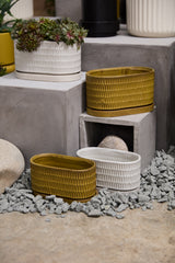Zelle Speckled Ceramic Planters With Saucers By Accent Decor - 8" x 4" x 4.5" - Image 4