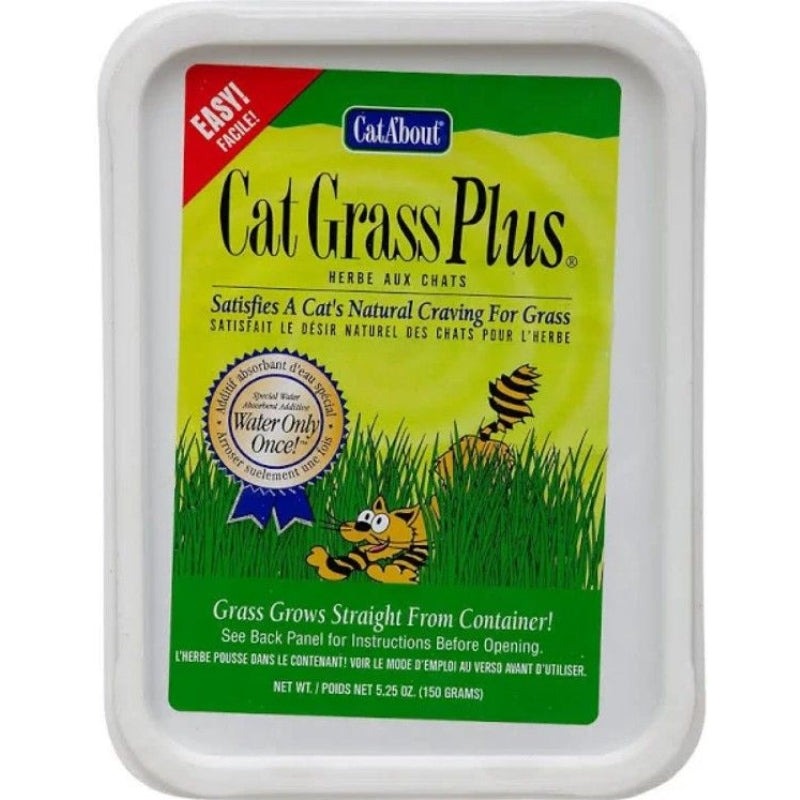 Gimborn Cat-A'bout Cat Grass Plus