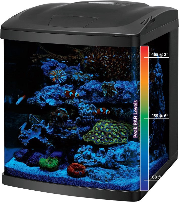 Coralife LED BioCube Aquarium Kit, 16 Gal or 32 Gal – Playful Tail