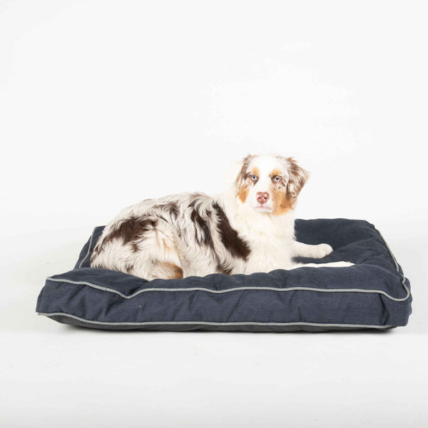 Pet Stores USA DGS Pet Products Repelz-It Upholstery Chenille Rectangle Pet Bed