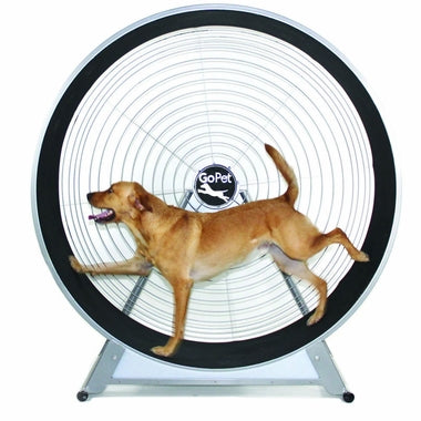 GoPet TreadWheel for Dogs & Cats - 2 Sizes Available