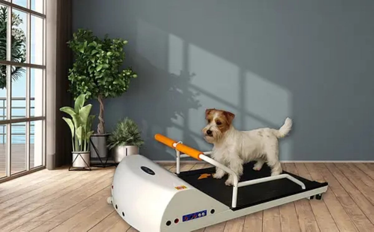 GoPet PetRun Treadmill for Dogs & Cats - 3 Sizes Available