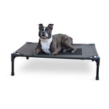 Pet Cot Elevated Pet Bed by K&H Pet Products