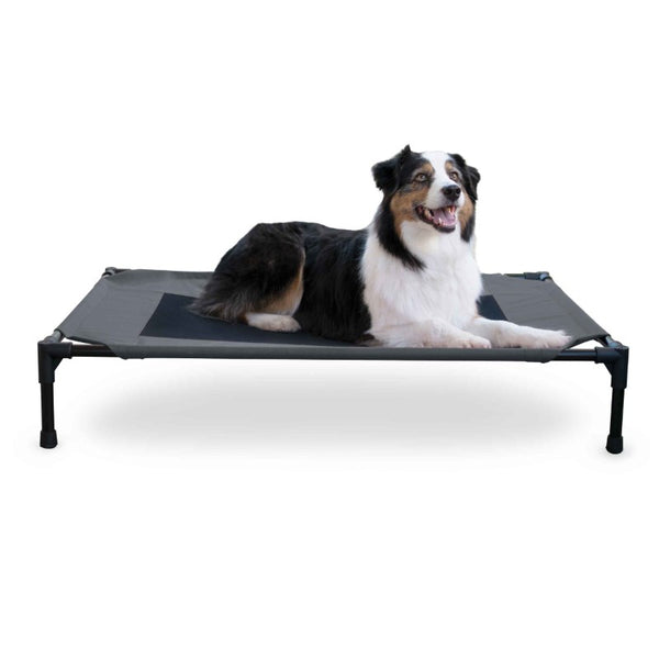 Pet Stores USA Pet Cot Elevated Pet Bed by K&H Pet Products