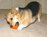 Starmark Everlasting Bento Ball - Orange